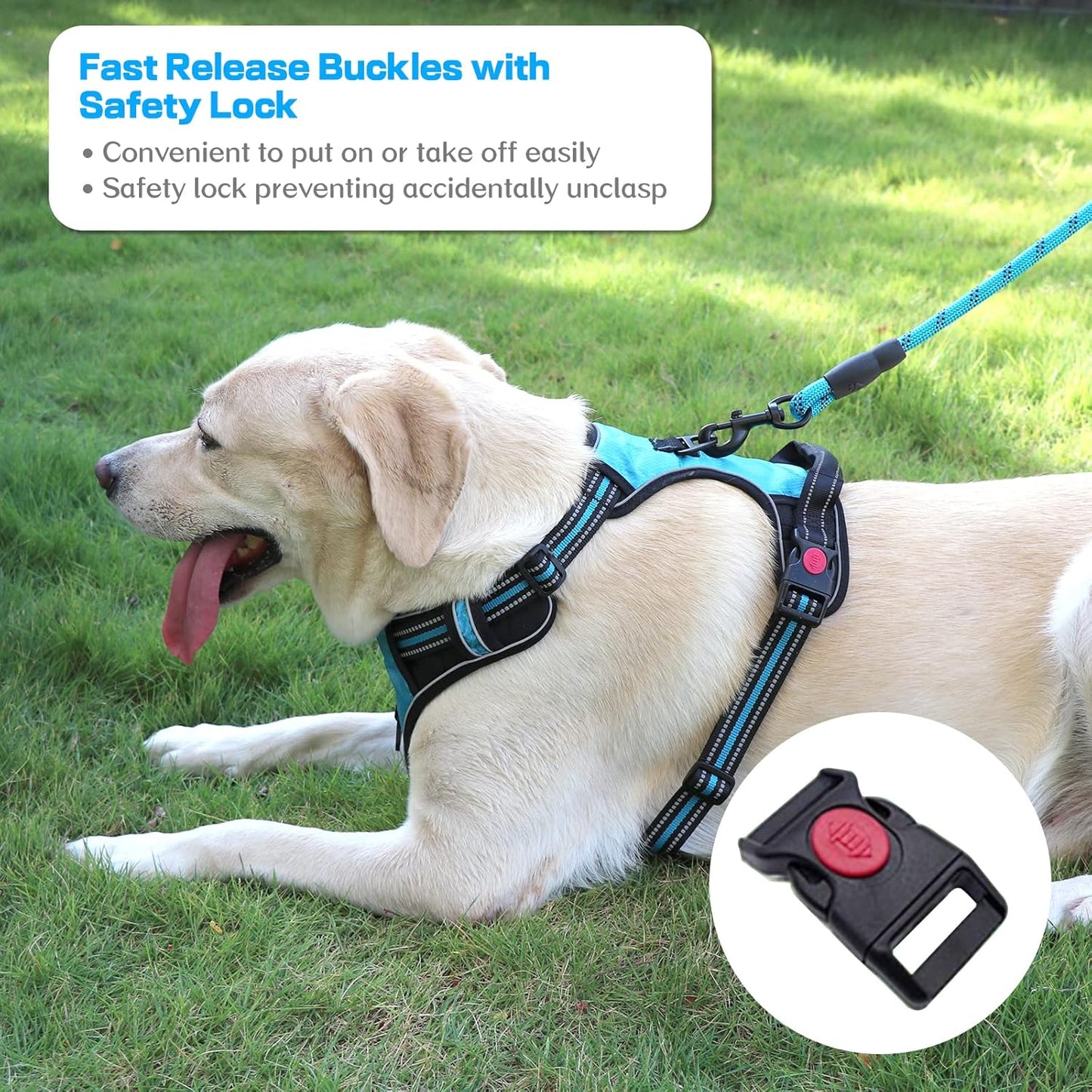 Adjustable No-Pull Dog Harness and Leash Set, Soft Padded Oxford Vest for Medium to Large Dogs, Reflective Design with Control Handle, Black