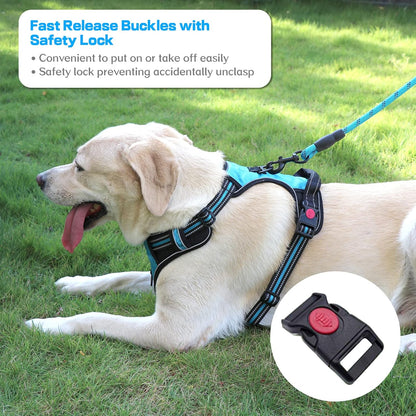 Adjustable No-Pull Dog Harness and Leash Set, Soft Padded Oxford Vest for Medium to Large Dogs, Reflective Design with Control Handle, Black